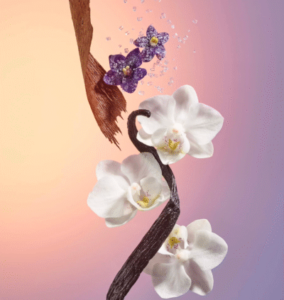 Crème n°59 - Sol de Janeiro – Image 3